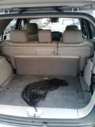 2002 Kia Sorento Photos
