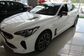 Kia Stinger CK 2.0T AT 4WD GT Line (247 Hp) 