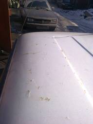 1974 Lada 2102 Pictures