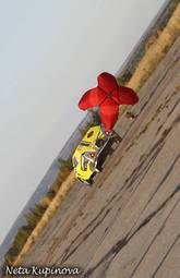 2008 Lada 2108 Pictures