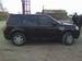 Preview Freelander