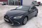 2019 Lexus ES250 VII ASV60 2.5 AT Executive (200 Hp) 