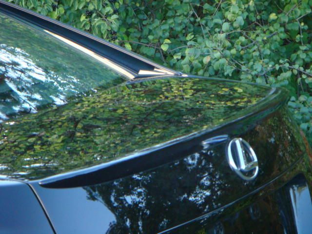 2006 Lexus GS300