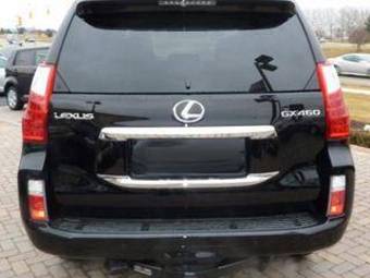 2010 Lexus GX460 Photos