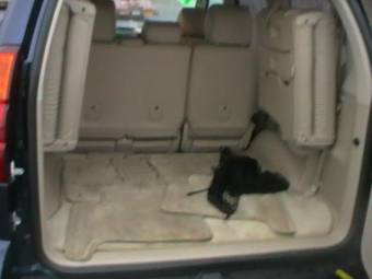 2005 Lexus GX470 Pictures