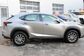 NX200 ZGZ10 2.0 CVT Comfort (150 Hp) 