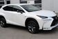 Lexus NX200T AGZ15 2.0 T AT AWD F SPORT Luxury (238 Hp) 