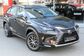 2017 Lexus NX300 AYZ15 2.0 AT AWD Premium (238 Hp) 