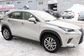 Lexus NX300 AYZ15 2.0 AT AWD Premium (238 Hp) 