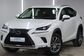 Lexus NX300 AYZ15 2.0 AT AWD Premium (238 Hp) 