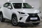 2019 lexus nx300