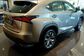 Lexus NX300 AYZ15 2.0 AT AWD F Sport Luxury (238 Hp) 