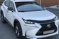 2014 Lexus NX300H AYZ15 2.5 CVT AWD F SPORT (155 Hp) 