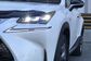 NX300H AYZ15 2.5 CVT AWD F SPORT (155 Hp) 