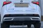 NX300H AYZ15 2.5 CVT AWD F SPORT (155 Hp) 