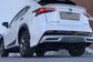 Lexus NX300H AYZ15 2.5 CVT AWD F SPORT (155 Hp) 