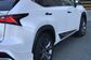 Lexus NX300H AYZ15 2.5 CVT AWD F SPORT (155 Hp) 
