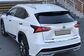 2014 Lexus NX300H AYZ15 2.5 CVT AWD F SPORT (155 Hp) 