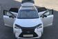 Lexus NX300H AYZ15 2.5 CVT AWD Exclusive   (155 Hp) 