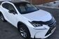 Lexus NX300H AYZ15 2.5 CVT AWD Exclusive   (155 Hp) 
