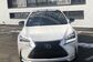 2016 NX300H DAA-AYZ15 300h F Sport 4WD (152 Hp) 