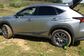 Lexus NX300H AYZ15 2.5 CVT AWD Executive (155 Hp) 