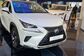 2021 NX300H AYZ15 2.5 CVT AWD Exclusive (155 Hp) 