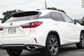 2018 Lexus RX200T IV DBA-AGL20W RX200t Version L (238 Hp) 