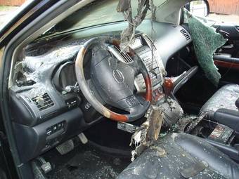 2007 Lexus RX350 Pictures