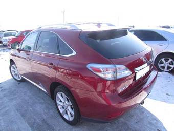 2010 Lexus RX350 Photos