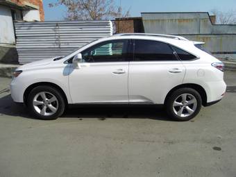 2010 Lexus RX350 Photos