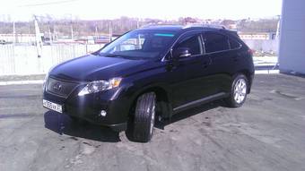 2010 Lexus RX350 Photos