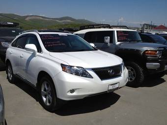 2010 Lexus RX350 Pictures