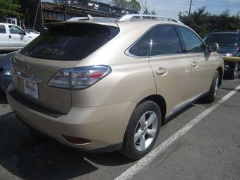 2010 Lexus RX350 Photos