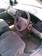 Preview 2001 MPV