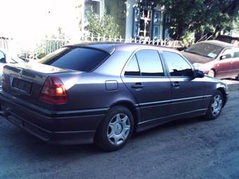 1994 Mercedes-Benz C-Class Pictures