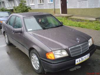 1994 Mercedes-Benz C-Class Pictures