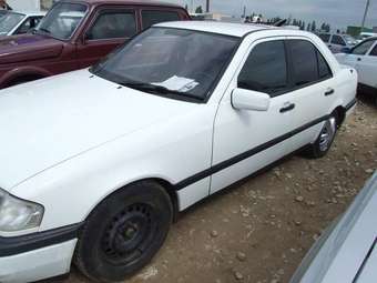 1995 Mercedes-Benz C-Class Pictures