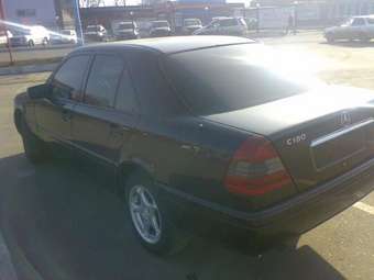 1995 Mercedes-Benz C-Class Pics