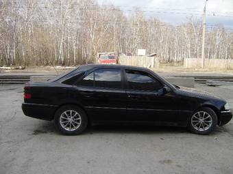 1995 Mercedes-Benz C-Class Pictures