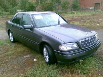 1995 Mercedes-Benz C-Class Photos