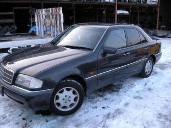 1996 Mercedes-Benz C-Class Pictures