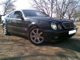 2000 Mercedes-Benz CLK-Class Pictures