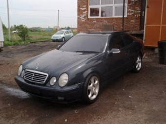 2000 Mercedes-Benz CLK-Class Images