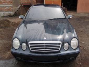 2000 Mercedes-Benz CLK-Class Pictures