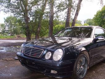 2001 Mercedes-Benz CLK-Class Pictures