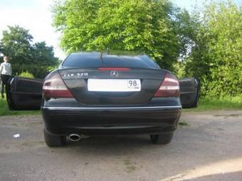2005 Mercedes-Benz CLK-Class Pictures