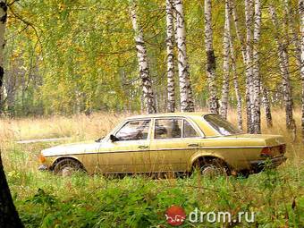 1980 Mercedes-Benz E-Class Pics