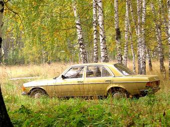 1982 Mercedes-Benz E-Class Pics