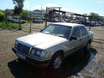 1985 Mercedes-Benz E-Class Pics